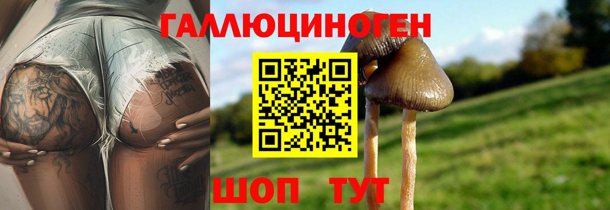 Галлюциногенные грибы мухоморы Волхов